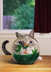 кошки, фотографии кошек и котят