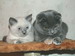 кошки и котята